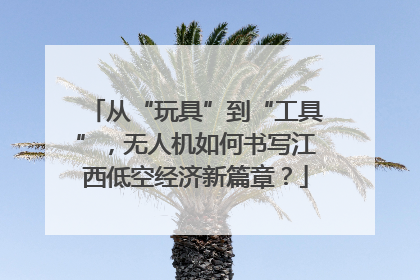 从“玩具”到“工具”，无人机如何书写江西低空经济新篇章？