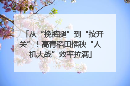 从“挽裤腿”到“按开关”！高青稻田插秧“人机大战”效率拉满
