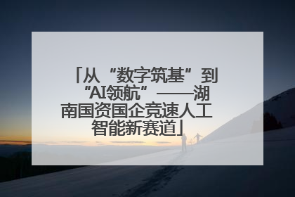 从“数字筑基”到“AI领航”——湖南国资国企竞速人工智能新赛道