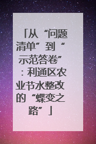 从“问题清单”到“示范答卷”：利通区农业节水整改的“蝶变之路”
