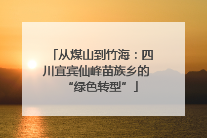 从煤山到竹海：四川宜宾仙峰苗族乡的“绿色转型”