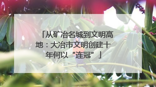 从矿冶名城到文明高地：大冶市文明创建十年何以“连冠”