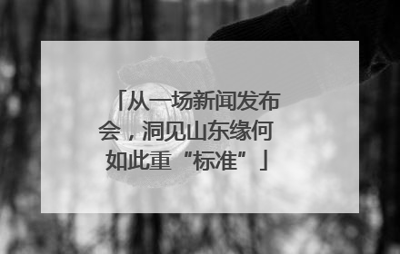 从一场新闻发布会，洞见山东缘何如此重“标准”