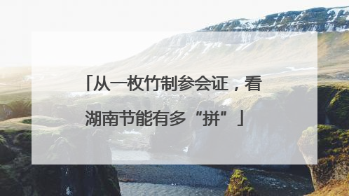 从一枚竹制参会证，看湖南节能有多“拼”