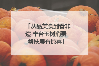 从品美食到看非遗 丰台玉树消费帮扶展有惊喜