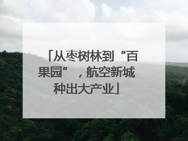 从枣树林到“百果园”，航空新城种出大产业