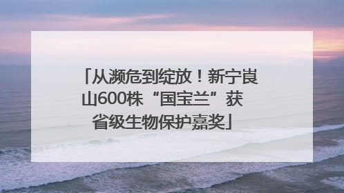 从濒危到绽放！新宁崀山600株“国宝兰”获省级生物保护嘉奖