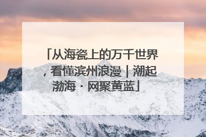 从海瓷上的万千世界，看懂滨州浪漫｜潮起渤海・网聚黄蓝