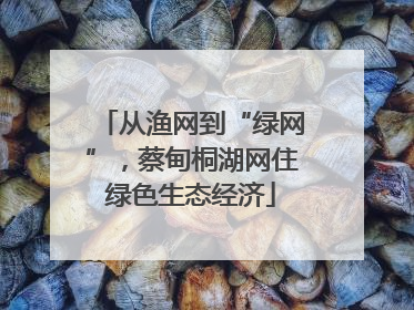 从渔网到“绿网”，蔡甸桐湖网住绿色生态经济
