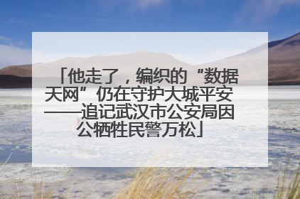 他走了，编织的“数据天网”仍在守护大城平安——追记武汉市公安局因公牺牲民警万松