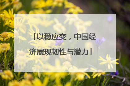 以稳应变,中国经济展现韧性与潜力