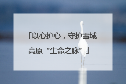 以心护心，守护雪域高原“生命之脉”