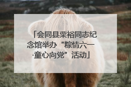 会同县粟裕同志纪念馆举办“粽情六一·童心向党”活动
