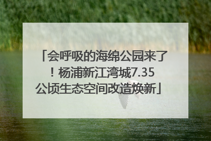 会呼吸的海绵公园来了！杨浦新江湾城7.35公顷生态空间改造焕新