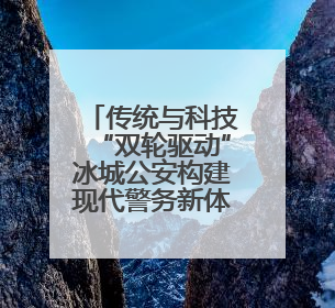 传统与科技“双轮驱动”冰城公安构建现代警务新体系