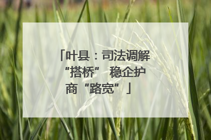 叶县：司法调解“搭桥” 稳企护商“路宽”