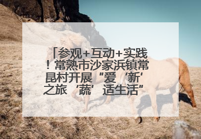 参观+互动+实践！常熟市沙家浜镇常昆村开展“爱‘新’之旅‘蔬’适生活”参观学习活动