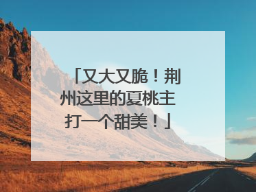 又大又脆！荆州这里的夏桃主打一个甜美！