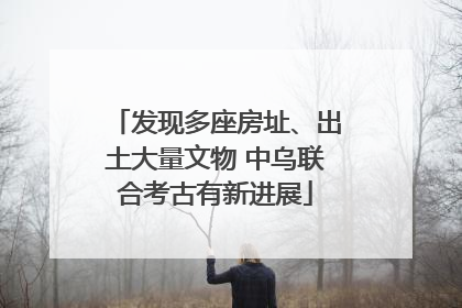 发现多座房址、出土大量文物 中乌联合考古有新进展
