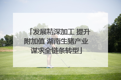 发展精深加工 提升附加值 湖南生猪产业谋求全链条转型