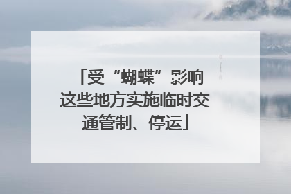 受“蝴蝶”影响 这些地方实施临时交通管制、停运