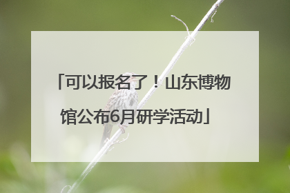 可以报名了！山东博物馆公布6月研学活动