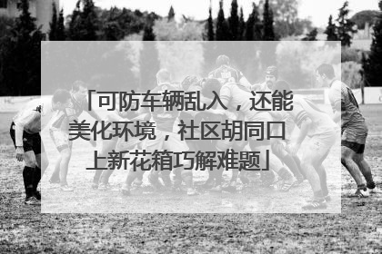 可防车辆乱入，还能美化环境，社区胡同口上新花箱巧解难题