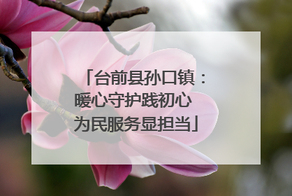 台前县孙口镇：暖心守护践初心 为民服务显担当
