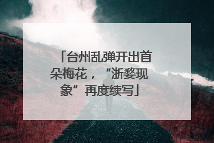 台州乱弹开出首朵梅花，“浙婺现象”再度续写