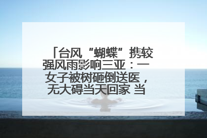 台风“蝴蝶”携较强风雨影响三亚：一女子被树砸倒送医，无大碍当天回家 当地已紧急清障