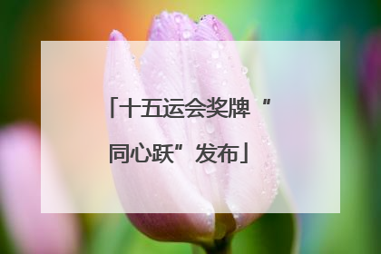 十五运会奖牌“同心跃”发布