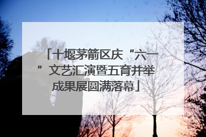 十堰茅箭区庆“六一”文艺汇演暨五育并举成果展圆满落幕