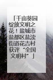 千亩葵园绽放文明之花！盐城市盐都区盐渎街道花吉村获评“全国文明村”