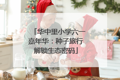 华中里小学六一嘉年华：种子旅行解锁生态密码