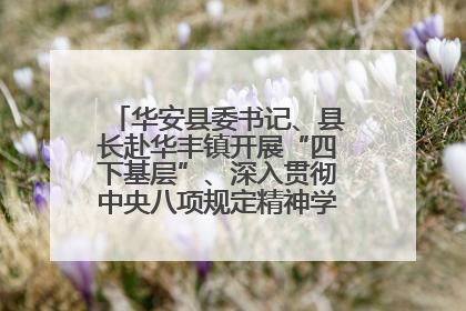 华安县委书记、县长赴华丰镇开展“四下基层”、深入贯彻中央八项规定精神学习教育工作调研