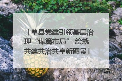 单县党建引领基层治理“谋篇布局” 绘就共建共治共享新图景