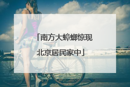 南方大蟑螂惊现北京居民家中