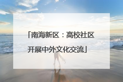 南海新区：高校社区开展中外文化交流