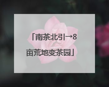 南茶北引→8亩荒地变茶园