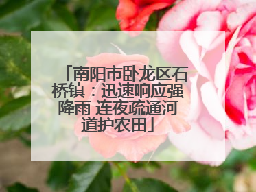南阳市卧龙区石桥镇：迅速响应强降雨 连夜疏通河道护农田