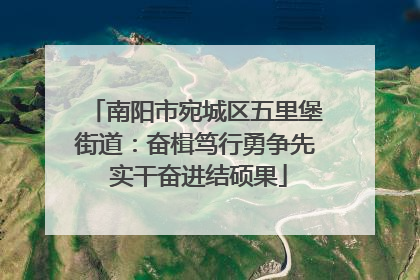 南阳市宛城区五里堡街道：奋楫笃行勇争先 实干奋进结硕果