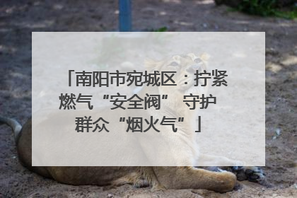 南阳市宛城区：拧紧燃气“安全阀” 守护群众“烟火气”
