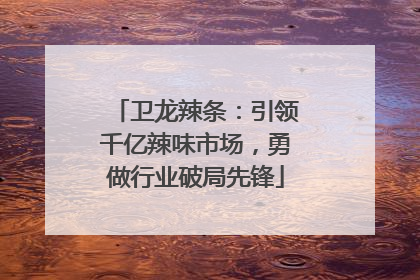卫龙辣条：引领千亿辣味市场，勇做行业破局先锋