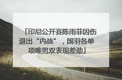 印尼公开赛陈雨菲因伤退出“内战”，国羽各单项唯男双表现差劲