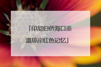 印尼归侨海口重温琼崖红色记忆