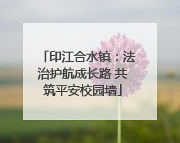 印江合水镇：法治护航成长路 共筑平安校园墙