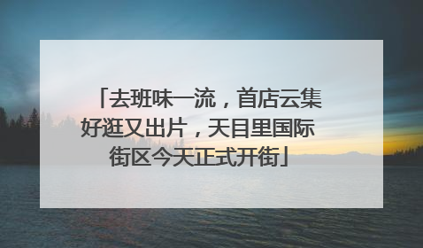 去班味一流，首店云集好逛又出片，天目里国际街区今天正式开街