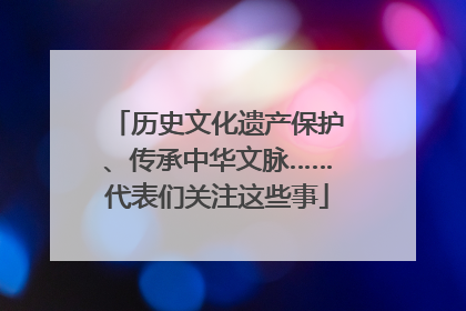 历史文化遗产保护、传承中华文脉……代表们关注这些事