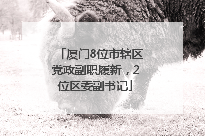 厦门8位市辖区党政副职履新，2位区委副书记