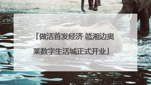 做活首发经济 赣湘边奥莱数字生活城正式开业